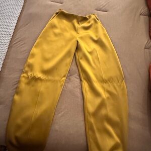 Zara Golden Yellow Garment